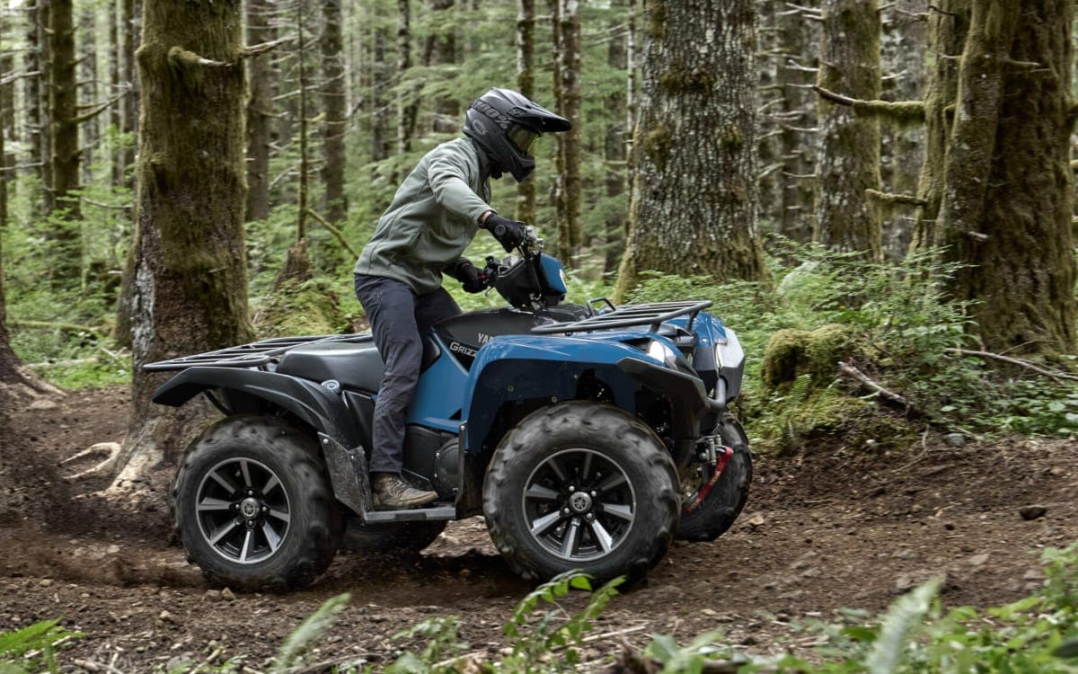 Cuatriciclos (ATV)